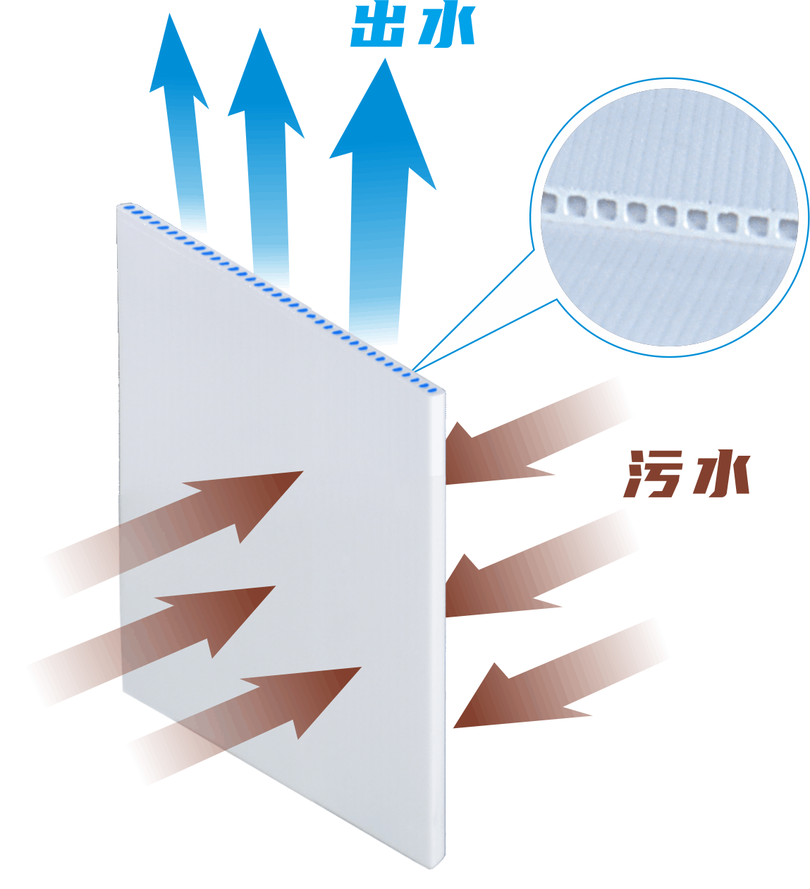 微信圖片_20240924015113.png